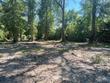 248 catalpa ave, wewahitchka,  FL 32465