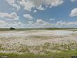  dundee,  FL 33838