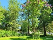 700 california street #1,2,5,6,7,8, hamilton,  WA 98255
