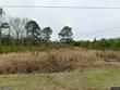 1326 burr hill rd, cottageville,  SC 29435