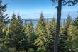  orcas island,  WA 98279