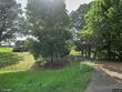 450 kenny rd, martin,  TN 38237