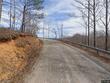 0 cedar grove rd, iron city,  TN 38463