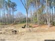 209 e american marigold drive, benson,  NC 27504