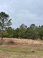 lot 13 sumrall rd., columbia,  MS 39429