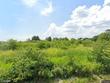 139 tamarind ct, cabery,  IL 60919