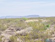 265 champagne hills rd road, elephant butte,  NM 87935