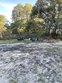 2479 eloise dr, green cove springs,  FL 32043