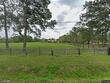 13755 duncanwoods ln, vidor,  TX 77662