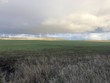 950 hoctor rd, goldendale,  WA 98620