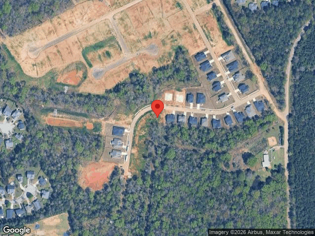 157 collins cove drive, chapin,  SC 29036