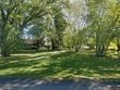  homer,  NY 13077
