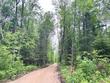 lot #2 buckatabon rd e, conover,  WI 54519