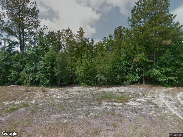 177 s effingham plantation dr, guyton,  GA 31312