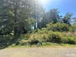 2406 50th ln, long beach,  WA 98631