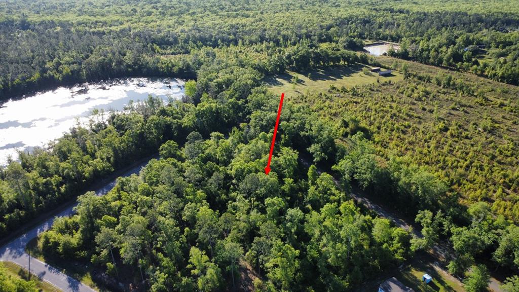 lot 31 bodie lister rd, wewahitchka,  FL 32465