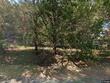 580 possum corner rd, walterboro,  SC 29488