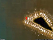 4323 ne joes point ter, stuart,  FL 34996