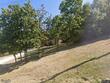 401 s minter rd, grain valley,  MO 64029