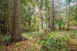 555 klamath dr, la conner,  WA 98257