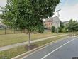  silver spring,  MD 20904