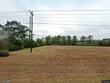 4515 county road 11, ariton,  AL 36311