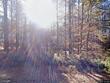 131 altavista ct, clayton,  NC 27520