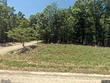 11725 state route mm, west plains,  MO 65775