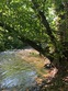 942 equinunk creek rd, lakewood,  PA 18439