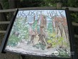  mill creek,  WA 98012