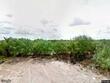 446 ranch rd, laredo,  TX 78043