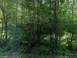 1820 mount olive cohoke rd, king william,  VA 23086