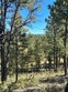 59 silver feather trail, pecos,  NM 87552