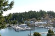  friday harbor,  WA 98250