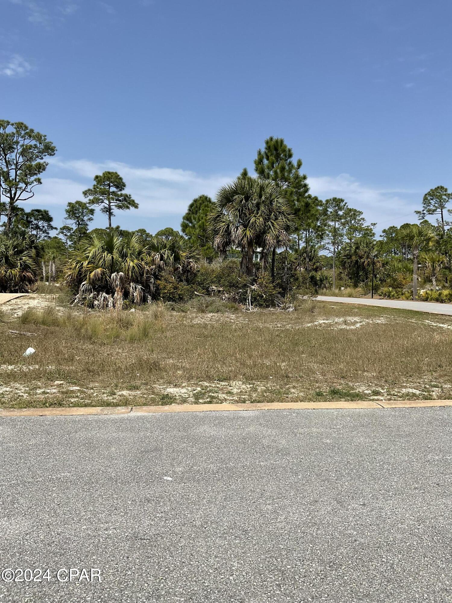 lot 47 jubilation drive, cape san blas,  FL 32456