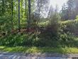 1935 kohne rd, dryden,  NY 13053
