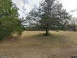 4899 county road 61, midland city,  AL 36350