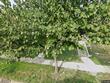 2519 reisterstown rd, baltimore,  MD 21217