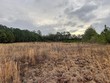 lot 9 sumrall rd., columbia,  MS 39429