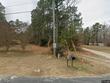 253 sandy point dr lane, manson,  NC 27553