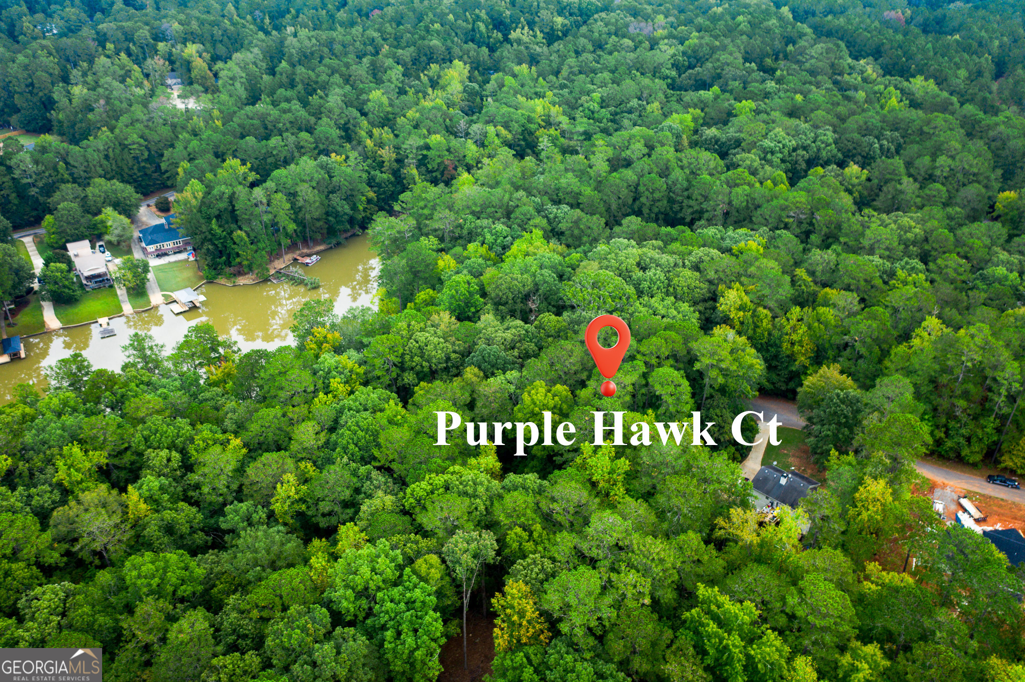 purple hawk court, monticello,  GA 31064