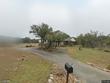 19904 victoria chase rd, lago vista,  TX 78645