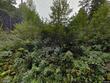 1378 hallstrom rd, northfield,  VT 05663