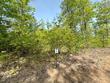 lot 7 cth b, land o lakes,  WI 54540