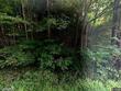  windsor,  NY 13865