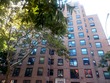  brooklyn,  NY 11205