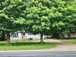  paw paw,  MI 49079