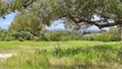 lot 1 legacy hills drive, johnson city,  TX 78636