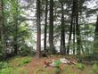 on arbor ln # lot 1, lac du flambeau,  WI 54538