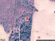 614 fairview rd, loretto,  TN 38469